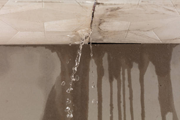 Professional Sewage Cleanup technician working in Cold Spring, MN
